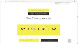 WANT MARKETPLACES STO   Global B2B, B2C, O2O, C2C eCommerce