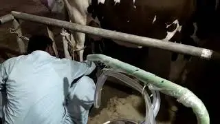 DAIRY HUB MILKING MACHINE
