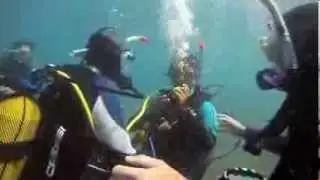 IDC Instructor Development Course May 2013  PADI