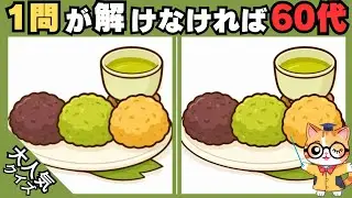 【脳トレ✖︎間違い探し】50代60代70代向け❗️簡単脳トレ問題で記憶力向上💡 【認知症予防/老化予防/記憶力向上】#557