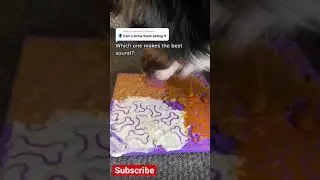Lick mat ASMR 😋🐾