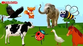 Funny animal sounds in nature &bull; cows, sheeps, elephants, chickens, cats, dogs, ducks, wolf...