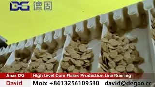 How Multigrain Cereal Flakes is Made in Factory