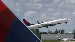 Delta Air Lines changes its rules on flying pets