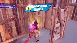 Fortnite Duo vs Squad WIN 2022