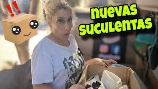 Unboxing nuevas SUCULENTAS con sus NOMBRES