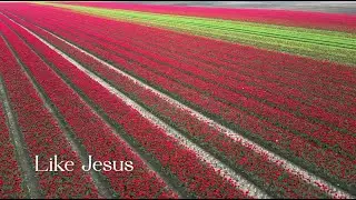 492 SDA Hymnal -   Like Jesus (Singing w/ Lyrics)