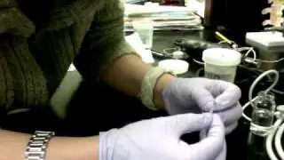 Histomorphometry Prep: Tibia City