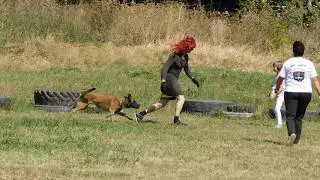 DSCN0227