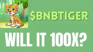 BNBTIGER - $BNBTIGER - BINANCE SMART CHAIN - BNB - CRYPTO