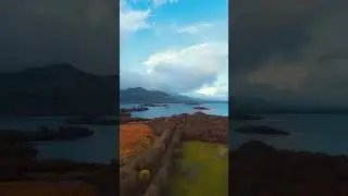 Red Deer in Killarney National Park, Co. Kerry