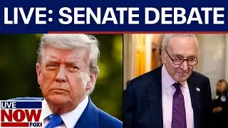 Senate to vote on President Donald Trump's 'Big, Beautiful Bill'