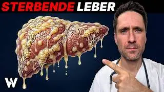 Das Problem beginnt morgens: Dinge, die ich nie fr&uuml;hst&uuml;cken w&uuml;rde