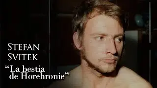 STEFAN SVITEK - 