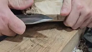 From Rough Walnut to Beauty: Relaxing Bark Removal