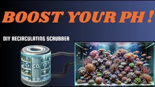 Increase Your pH with This 30-Minute CO2 Scrubber Blueprint!