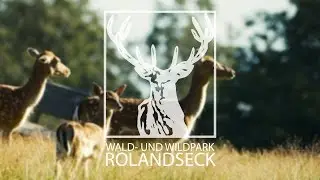 Wald- und Wildpark Rolandseck
