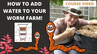 VIDEO 11: How to add Water to Your WORM FARM COURSE VIDEO