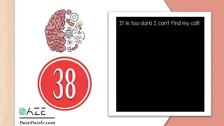 Brain Test Level 38 It is too dark! I can’t find my cat Answer