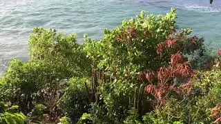 Grenada Cabier Ocean Lodge 2 2
