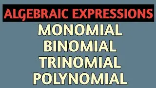 Types of algebraic expressions || monomial binomial trinomial and polynomial class 7 chapter 12