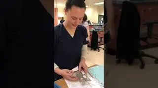 Anne Haines Heparin Continuous Infusion Demonstration