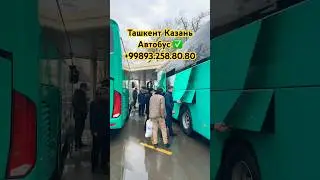 ❗️Ташкент Казань Автобус #ташкент #казань #автобус #tashkent #kazan #avtobus #rekomendasi #shorts