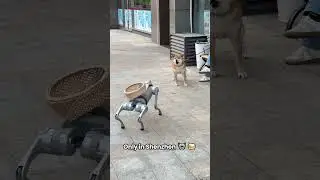 Drunk Robot Core is literally a reality in Shenzhen #fyp #shenzhen #china #ai #robot
