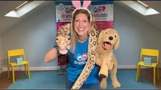 Drama Tots PET SHOP adventure!