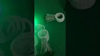 Ring Neopixel RGB Lighting - Smart Bright LEDs