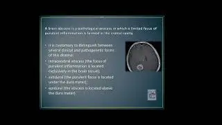 80 Abscess of the brain