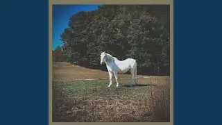 L.M