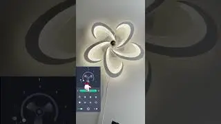 RGB Petal Fan Ceiling Light APP User Guide