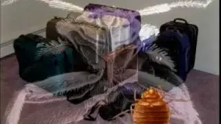 DC DOH Bed Bugs