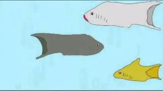 PREHISTORIC JAWLESS FISH INTERVIEW 2