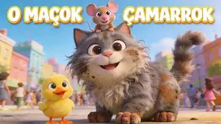 O Macok camarrok -  Kenge edukuese - Kafshet shtepiake 🐱🎵