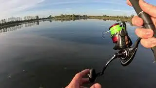 Angeln in Holland auf Barsch, Zander und Hecht