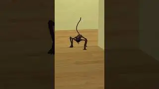 Escape CatNap Microscopic