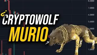 Cryptowolf MURI&Oacute; | Qu&eacute; esta pasando con cryptowolf