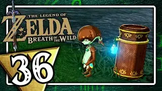 THE LEGEND OF ZELDA BREATH OF THE WILD 🌿 #36: Eilpost am Ufer der Tr&auml;ume!
