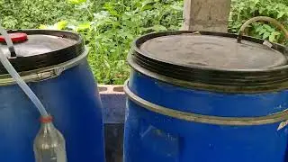 Mujeres transformando la agricultura a través de la agroecológica