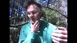 Rebuilding self-trust after Covert Narcissistic + Systematic Abuse (2)   #narcissist #selfhelp