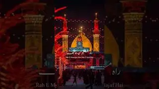 Rah e Mustaqeem Man Rah e Najaf #hazratali #alihaider #najaf #muharram #trending #shorts #ytshorts