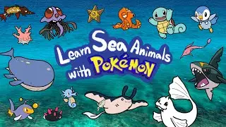 Pokemon Sea Animals | What Sea Animals are in Pok&eacute;mon? | Guess & Meet the Water Pok&eacute;mon! | Kids Draw