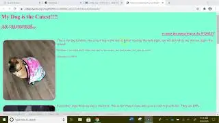Exploring Web Pages