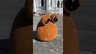 Big fluffy POU needs brother :( #bro #brother #sister #plushies #plushtoys