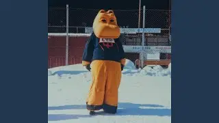 Mörri