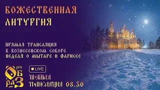 Божественная литургия в Вознесенском соборе. Неделя о мытаре и фарисее.