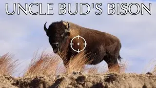 BUDS BISON HUNT TRAILER