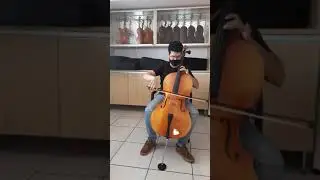 Violoncelo Iniciante Ajustado por Luthier- Oliveira Musical